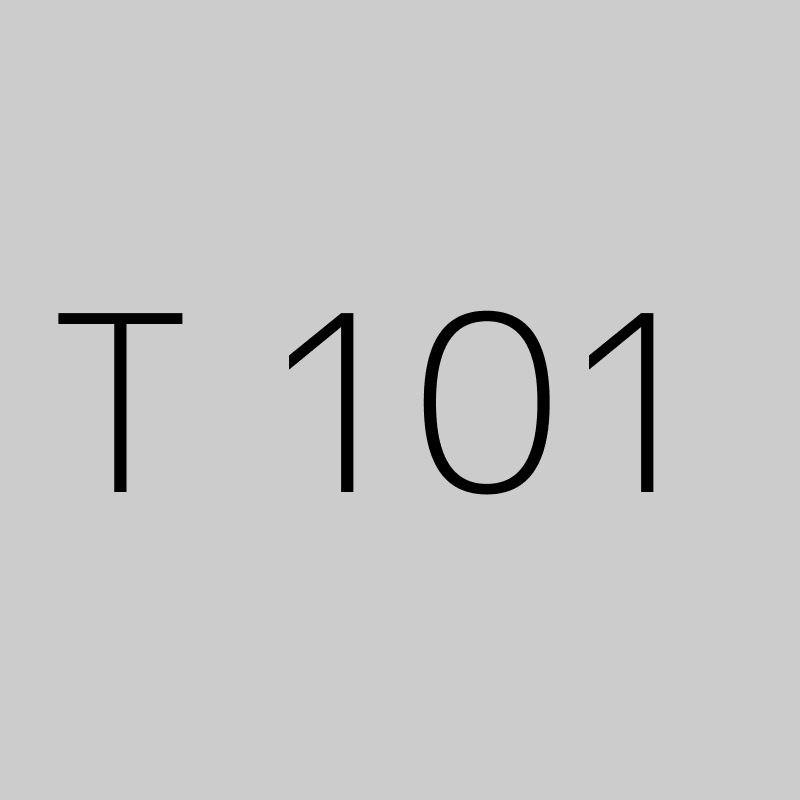 T 101 